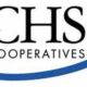 CHS Logo