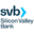 SVB Financial Group Logo