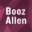 Booz Allen Hamilton Holding Logo